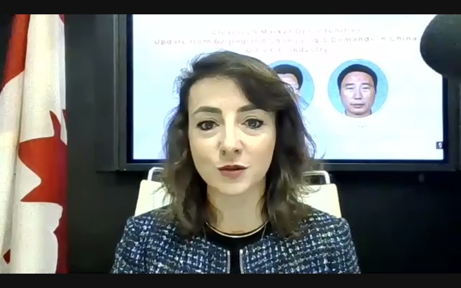 Greater China Cleantech Opportunities: Update from Beijing and Chongqing