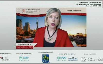 Riding China’s Economic Wave: The Big Picture and Three Close-Ups