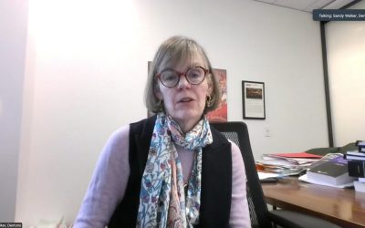 Online Briefing: Canadian Restrictions on Foreign Investment from China